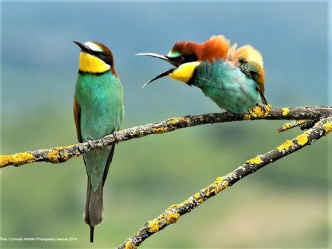 Image : sciencesetavenir.fr