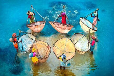 Colors of life.